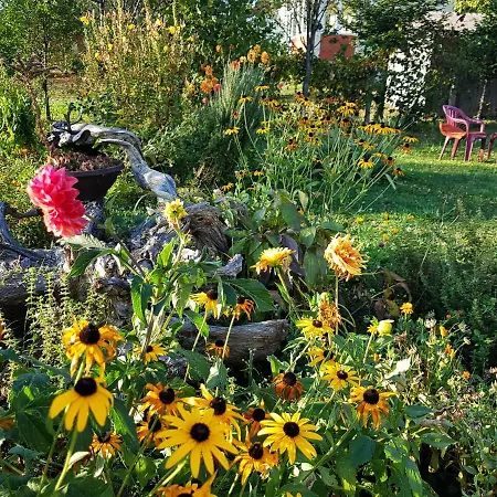 Vendégház Petrovic Tara Bajina Bašta