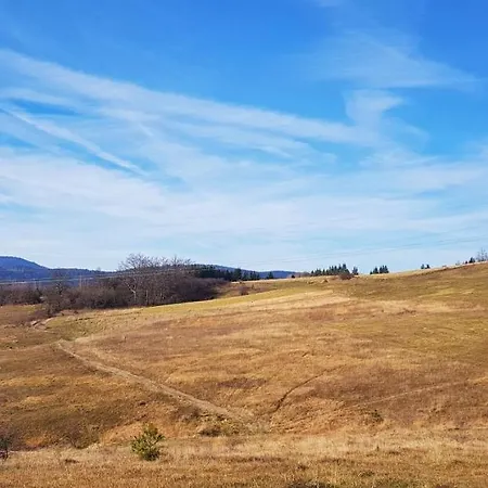 Petrovic Tara Vendégház