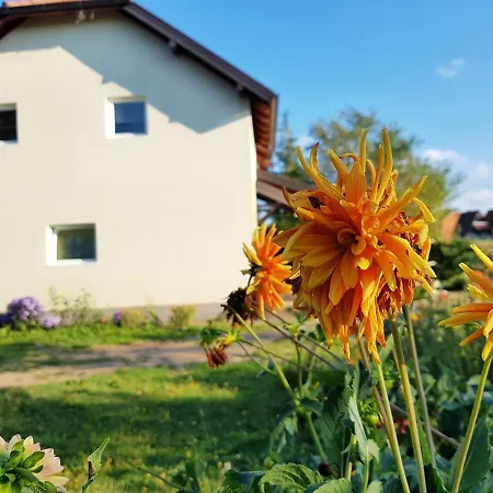 Petrovic Tara Vendégház Bajina Bašta