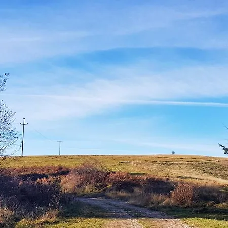 Vendégház Petrovic Tara