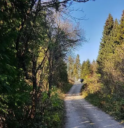 Vendégház Petrovic Tara