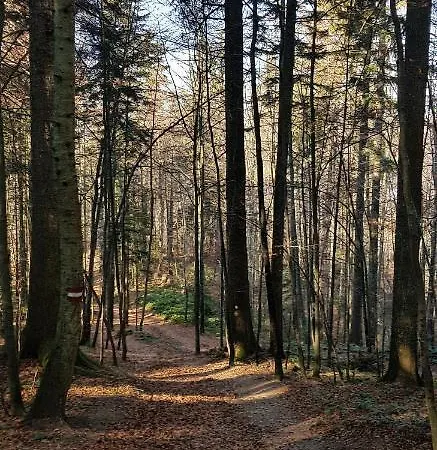 Petrovic Tara Vendégház Bajina Bašta