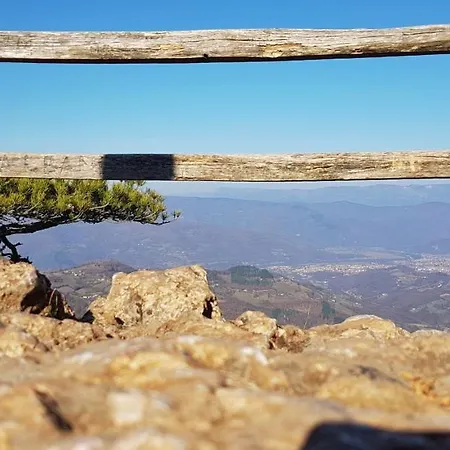 Petrovic Tara Bajina Bašta